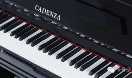 钢琴指法练习视频,高效提升演奏技巧的秘籍解析